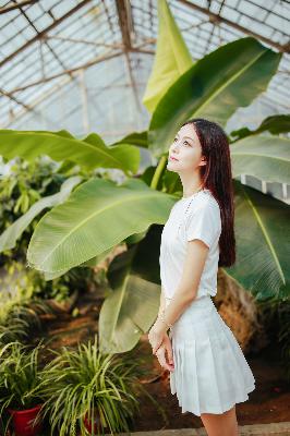 陈情令电视剧免费观看完整版高清